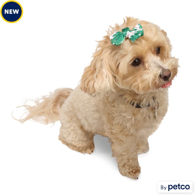 Petco dog bows clearance