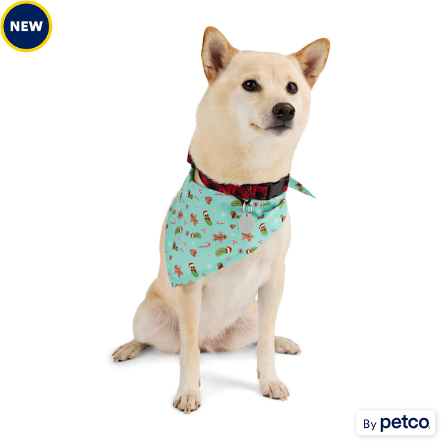 Petco bandana top