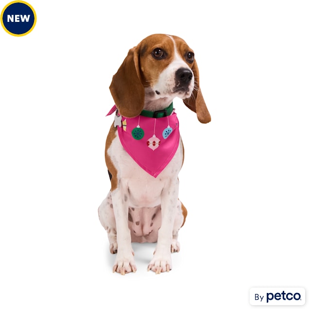 Petco birthday bandana shop