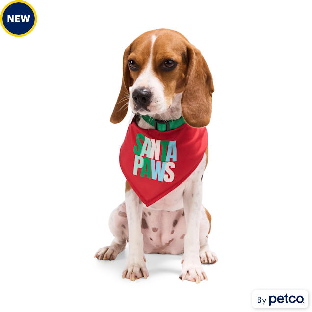Petco christmas collars shop