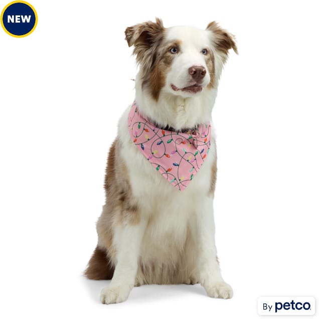 Petco dog bandanas shop