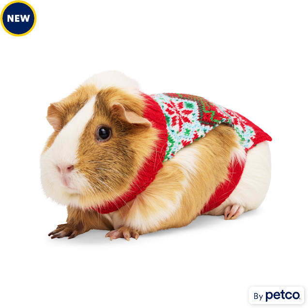 Petco christmas sweaters shop