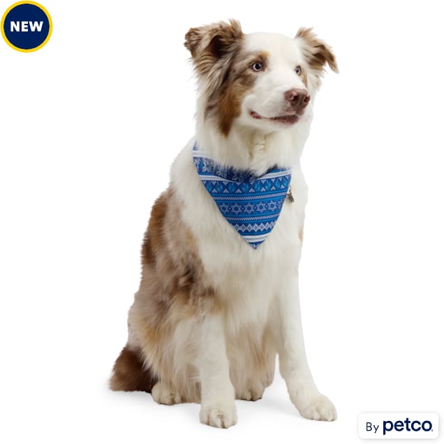 Petco bandana top