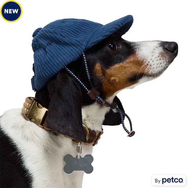 Beanie hats for dogs deals