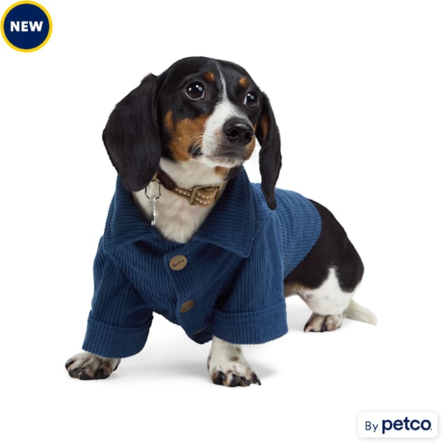 Reddy dog jacket top