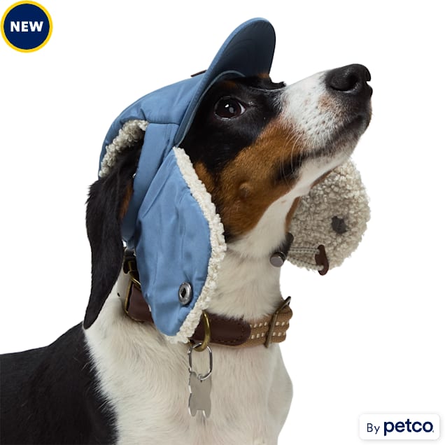 Reddy Trapper Dog Hat X Small Small Blue Petco