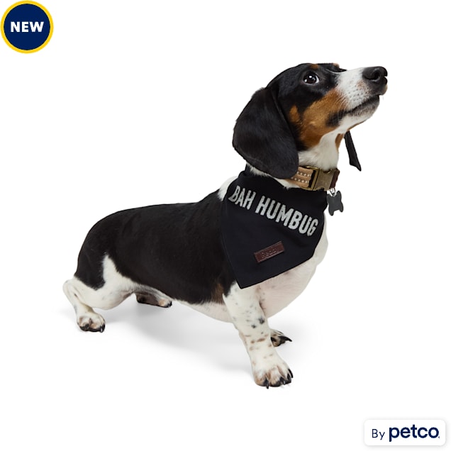 Petco dog bandana on sale