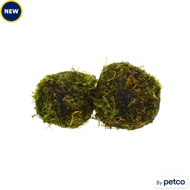 Moss Ball 2 Pack - Carousel image #1