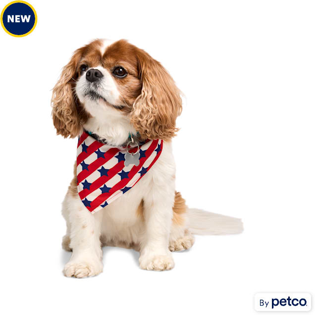 YOULY Stars and Stripes Dog Bandana, Red/White/Blue, X-Small/Small - Carousel image #1