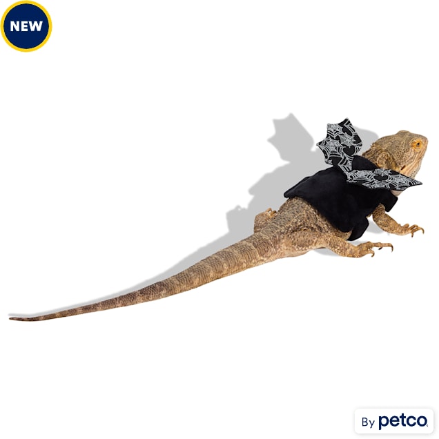 Bootique Bat Bearded Dragon Halloween Costume - Carousel image #1