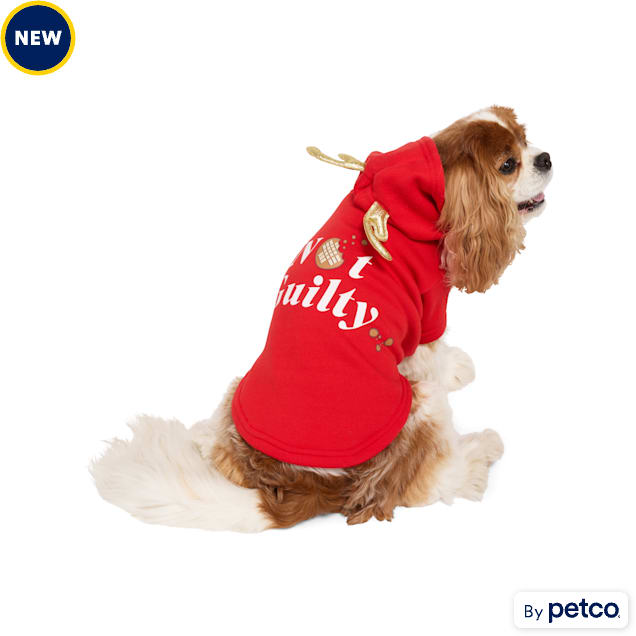 Merry Makings Not Guilty Pet Hoodie, XX-Small - Carousel image #1