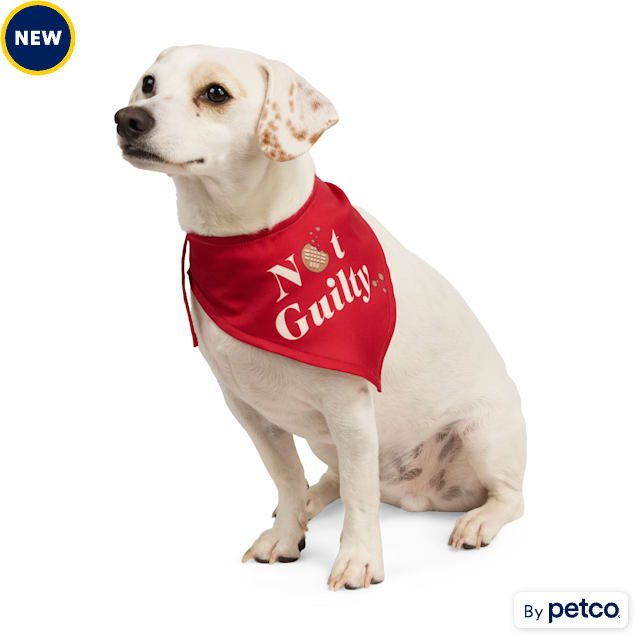 Merry Makings Not Guilty Pet Bandana, Small/Medium - Carousel image #1