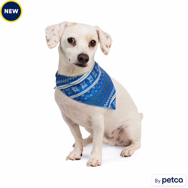 Merry Makings Happy Hanukkah Pet Bandana, Small/Medium - Carousel image #1