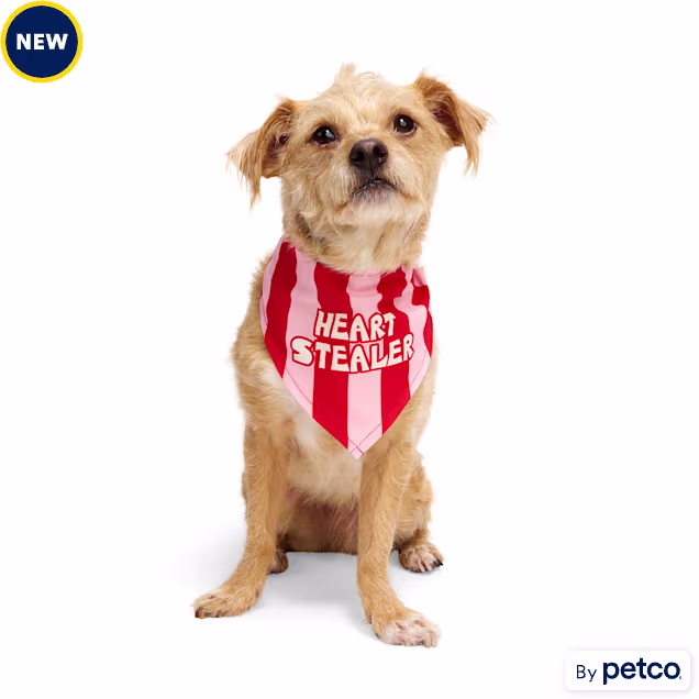 YOULY Heart Stealer Dog Bandana, X-Small/Small - Carousel image #1