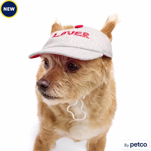 YOULY Lover Baseball Cap Pet Hat, X-Small/Small - Carousel image #1