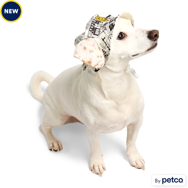 YOULY Pop Art Smiley Pet Bucket Hat, X-Small/Small - Carousel image #1