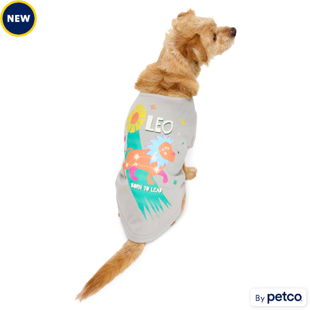 YOULY Leo Zodiac Sign Pet T-Shirt, Small - Carousel image #1