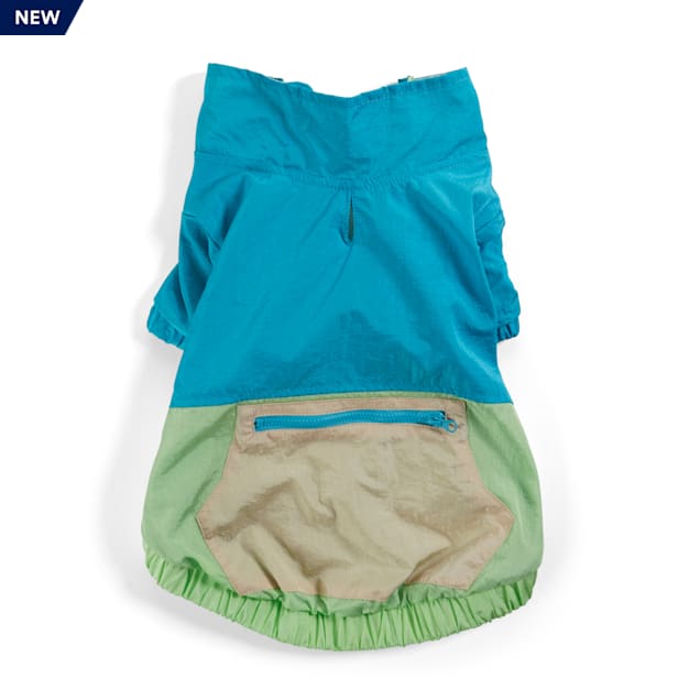 green dog jacket