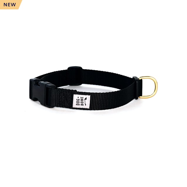Quick release dog collar petco clearance