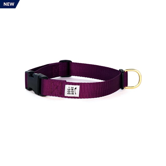 Dog + Bone Purple Snap Dog Collar, Small Petco