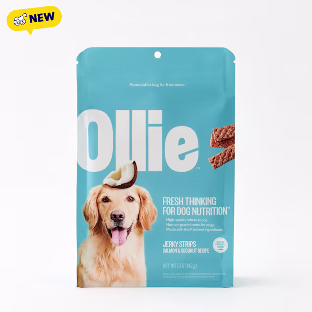 Ollie Salmon & Coconut Jerky Strips for Dogs, 5 oz. - Carousel image #1