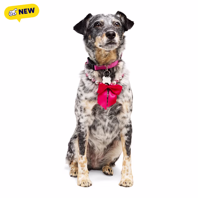 Petco Beaded Pearl Necklace for Dogs, X-Small/Small - Carousel image #1