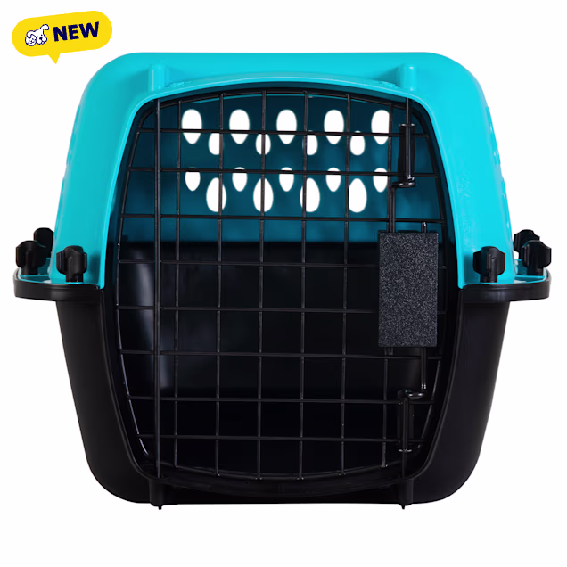 Petmate Pet Porter Fashion Kennel 19in for Dogs, Blue, Small - Carousel image #1