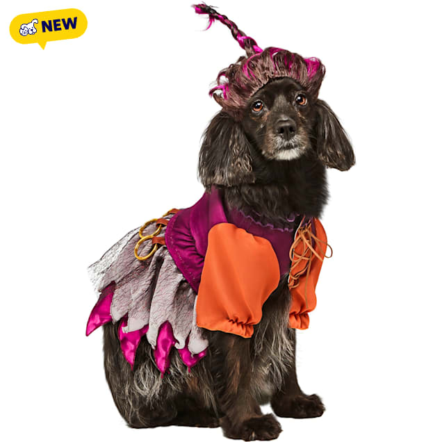 RUBIES Hocus Pocus Mary Sanderson Pet Costume, Multi Colored, Small - Carousel image #1