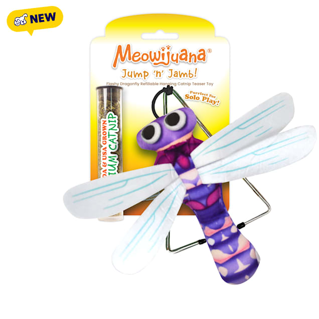 Meowijuana Jump 'n' Jamb Dragonfly Hanging Refillable Catnip Teaser Toy for Cats, Medium - Carousel image #1