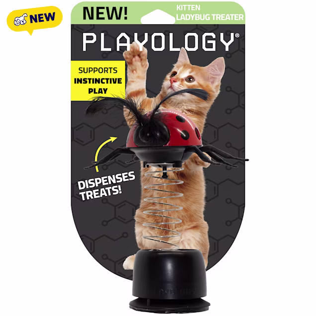Playology Pop-Up Ladybug Treater Cat Toy Treat Dispenser, Medium - Carousel image #1