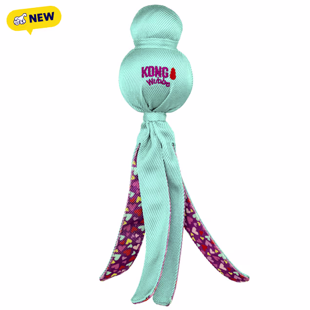 KONG Valentines Mint Wubba Dog Toy, Large - Carousel image #1