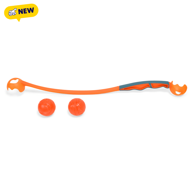 Leaps & Bounds Orange Glow in the Dark Ball Launcher Dog Toy, Medium ...