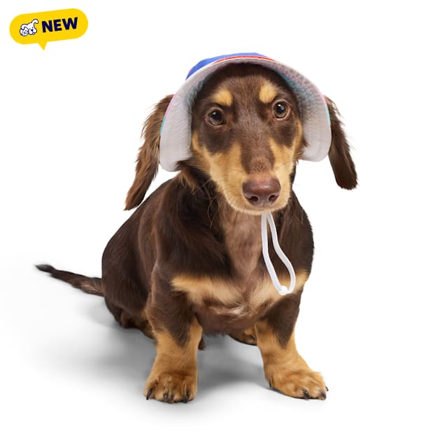YOULY Pride Reversible Bucket Dog Hat, X-Small/Small - Carousel image #1