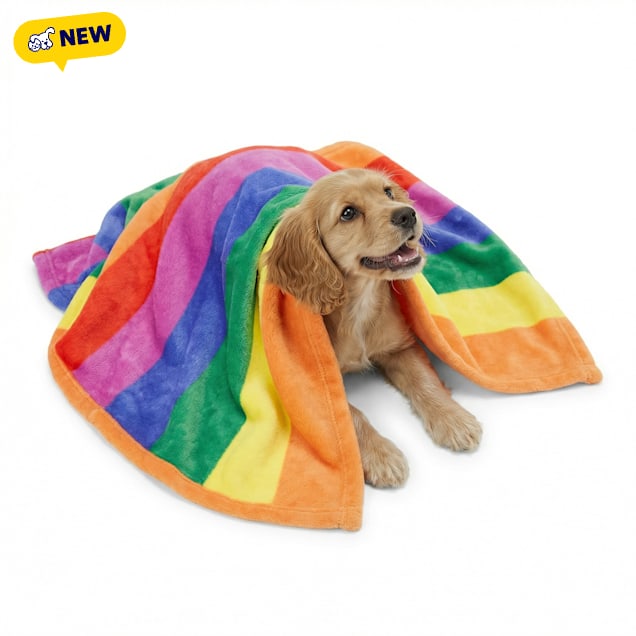 EveryYay Pride Rainbow Pet Throw, 50"L x 40"W - Carousel image #1
