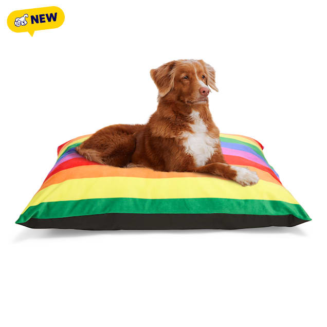 EveryYay Pride Rainbow Lounger Dog Bed, 38" L x 30" W x 4" H - Carousel image #1