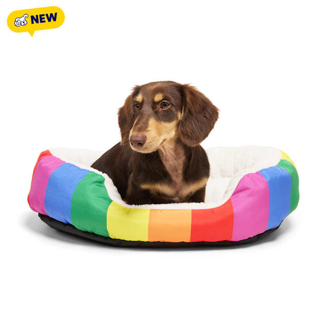 EveryYay Pride Rainbow Oval Cuddler Pet Bed, 23" L x 17" W x 5" H - Carousel image #1