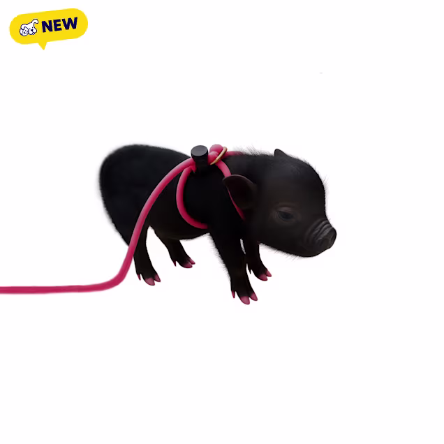 Piggy Poo and Crew Pink Adjustable Pet Harness and Leash, 12 ft. - Carousel image #1