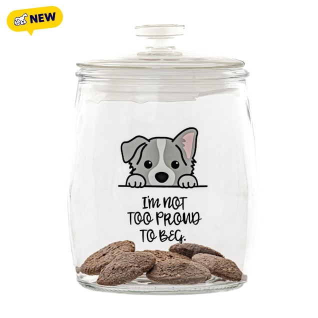 10 Strawberry Street "Not Too Proud to Beg" Pet Treat Canister, Medium - Carousel image #1