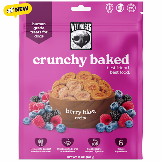 Wet Noses Grain-Free Berry Blast Oven Baked Crunchy Treats for Dogs, 10 oz. - Carousel image #1