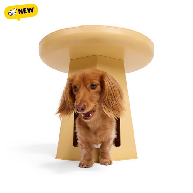 Petco Pet Condo End Table, 19.7" L X 19.7" W X 17.9" H - Carousel image #1