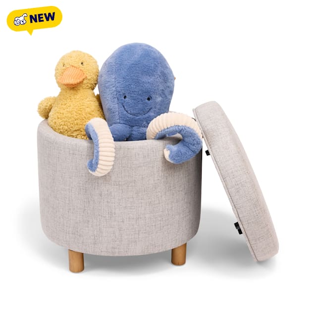 Petco Cushioned Concealed Storage Ottoman - Carousel image #1