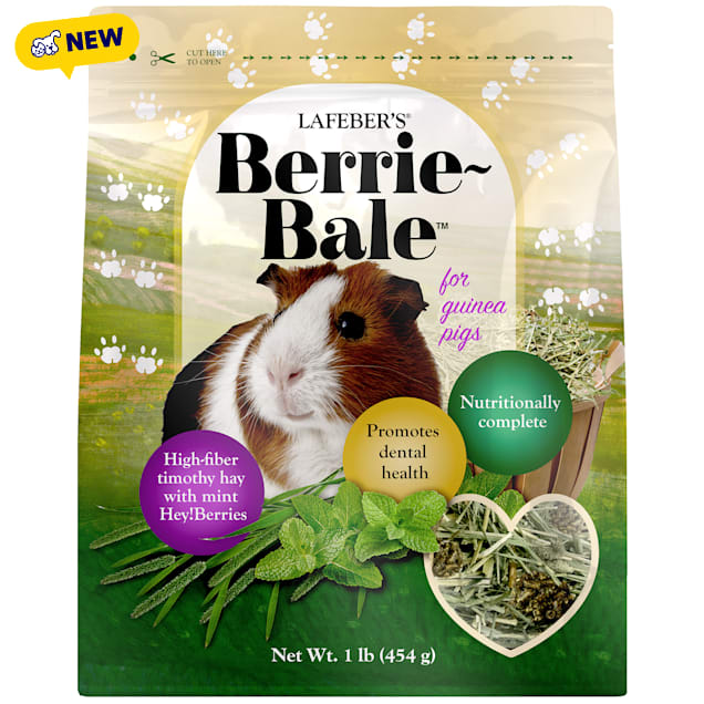 Lafeber's Mint Berrie-Bale for Guinea Pigs, 1 lbs. - Carousel image #1