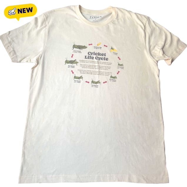 Zanden Cricket Lifecycle Adult T-Shirt, Small - Carousel image #1