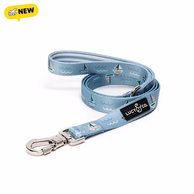 Lucy & Co. Set Sail Dog Leash, 9.72" L X 3.15" W, Blue, Large - Carousel image #1
