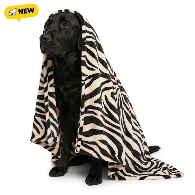 Petco Pet Throw Blanket, Zebra Stripe, 50" L X 40" W - Carousel image #1