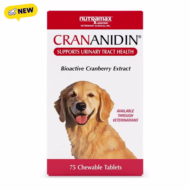 NUTRAMAX CRANANIDIN Chewable Tablets for Dogs, Count of 75 - Carousel image #1