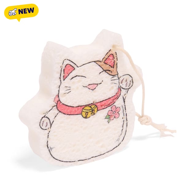 Petco Fortune Cat Dish Sponge - Carousel image #1