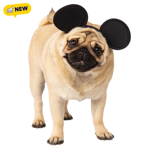 RUBIES Mickey Ear Classic for Dogs, Black, Small/Medium - Carousel image #1