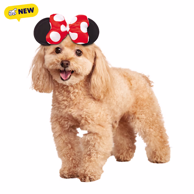 RUBIES Minnie Ear Classic for Dogs, Black, Small/Medium - Carousel image #1