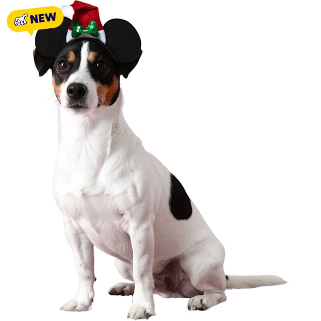 RUBIES Minnie Ear Santa Hat for Dogs, Red, Small/Medium - Carousel image #1
